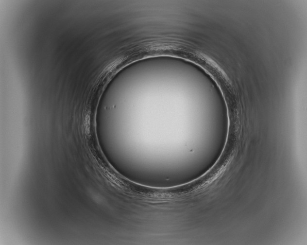 X0000116880777200912221425
