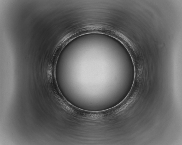 X0000116880778200912221425