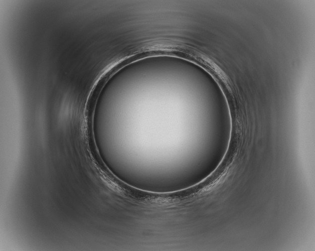 X0000116880779200912221425