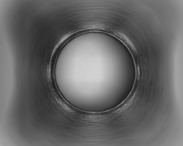 X0000116880780200912221425