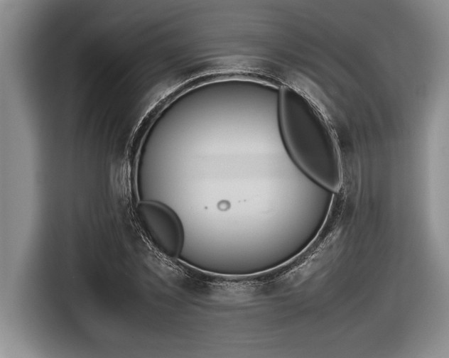X0000116880781200912221425