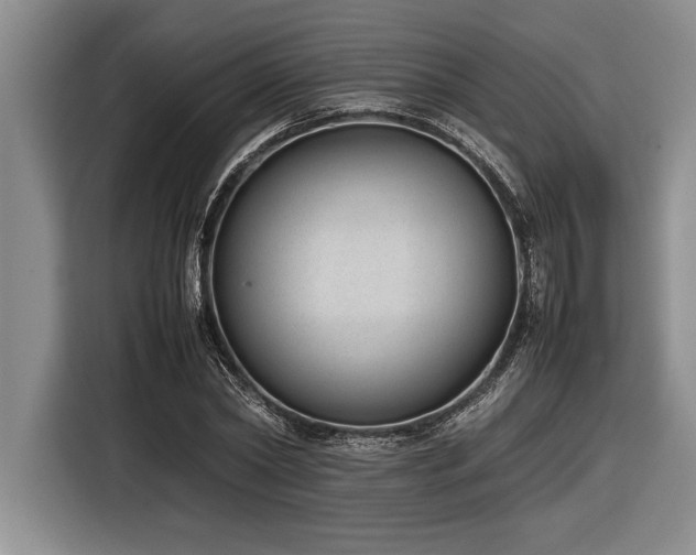 X0000116880782200912221425