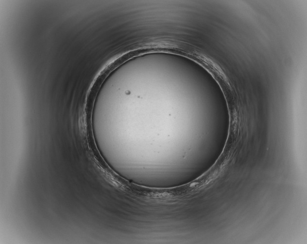 X0000116880784200912221424