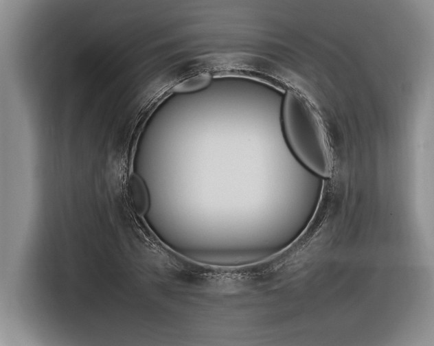 X0000116880785200912221424
