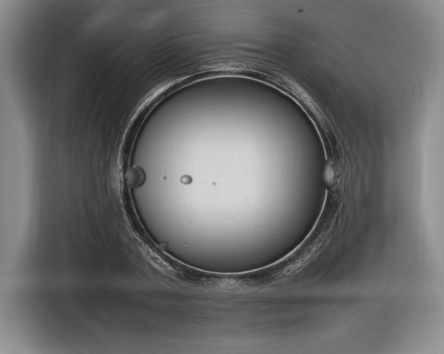 X0000116880787200912221424
