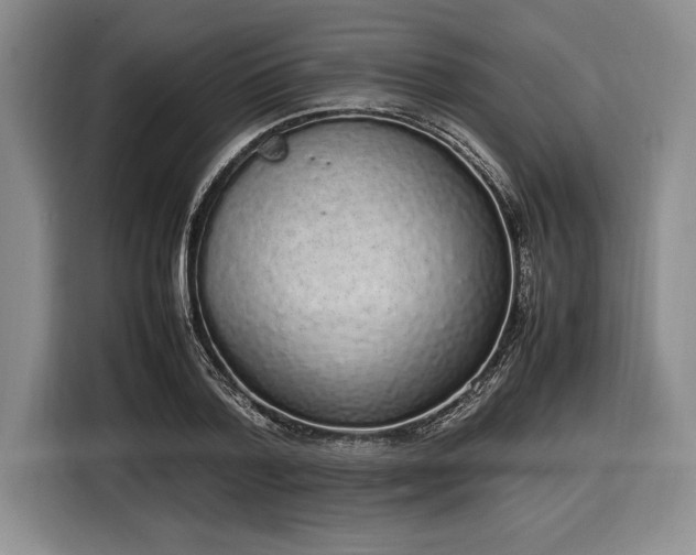 X0000116880788200912221424