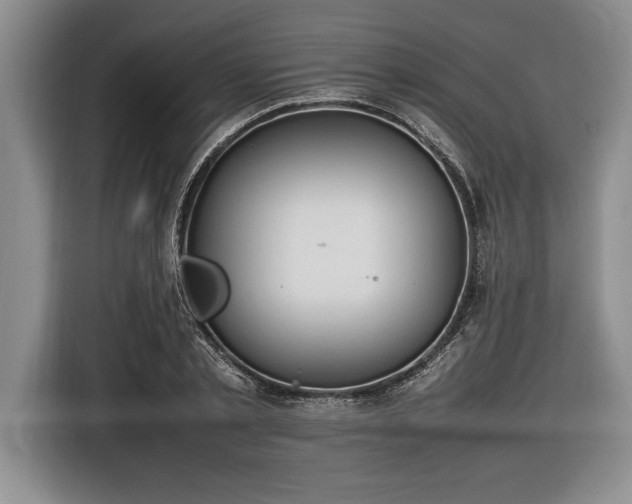 X0000116880789200912221424
