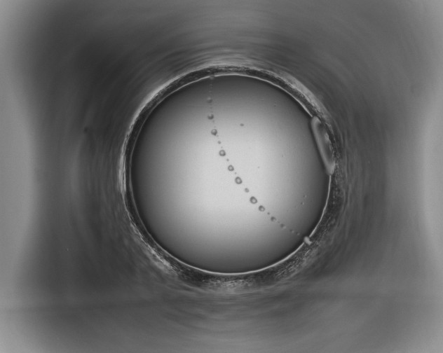 X0000116880791200912221424