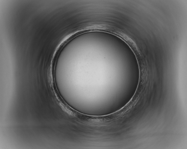 X0000116880792200912221424