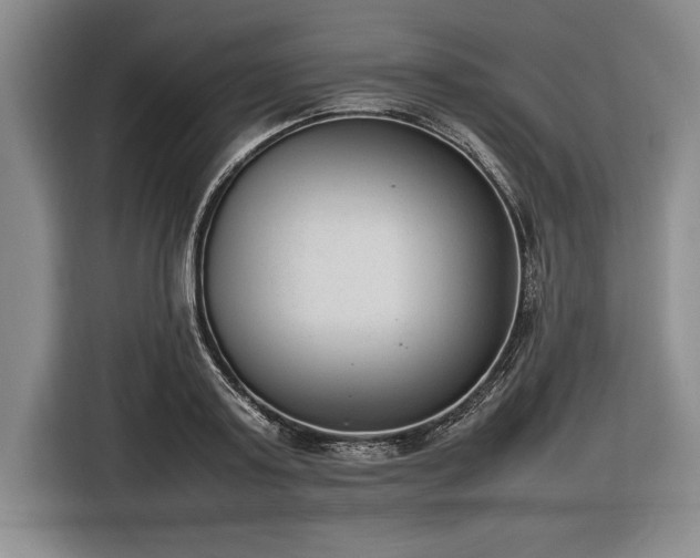 X0000116880795200912221424