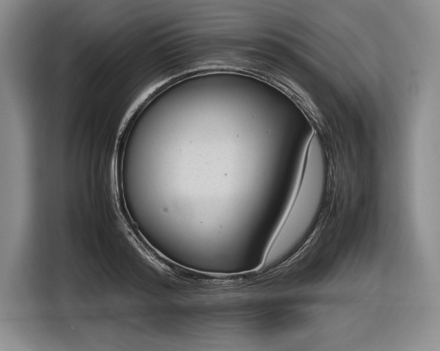 X0000116880796200912221424