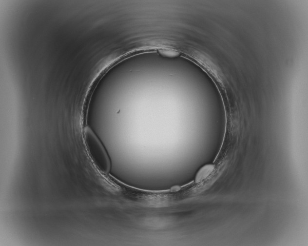 X0000116880797200912221424