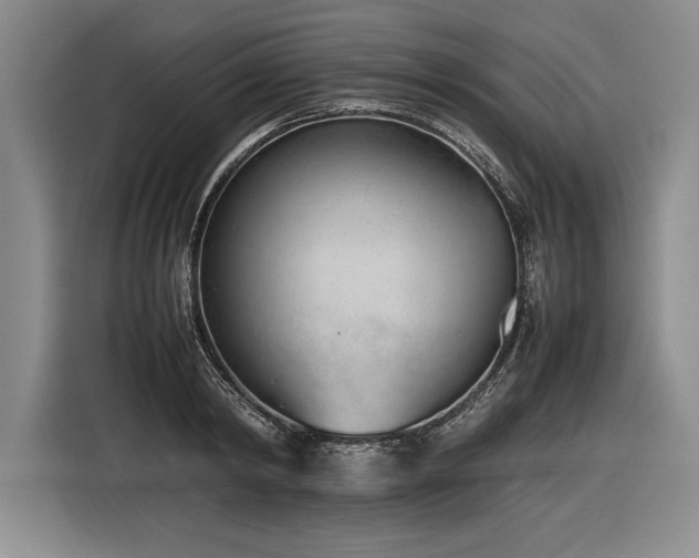 X0000116880798200912221424