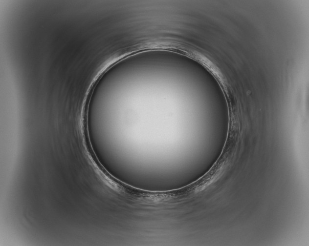 X0000116880803200912221424