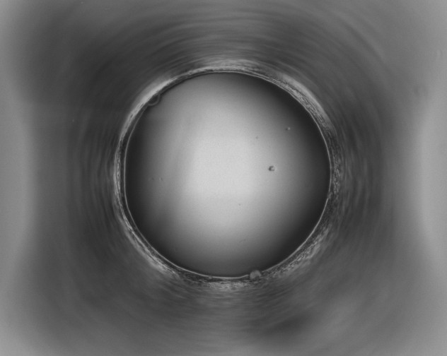 X0000116880804200912221424