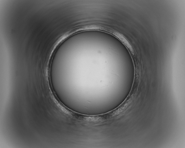 X0000116880805200912221424