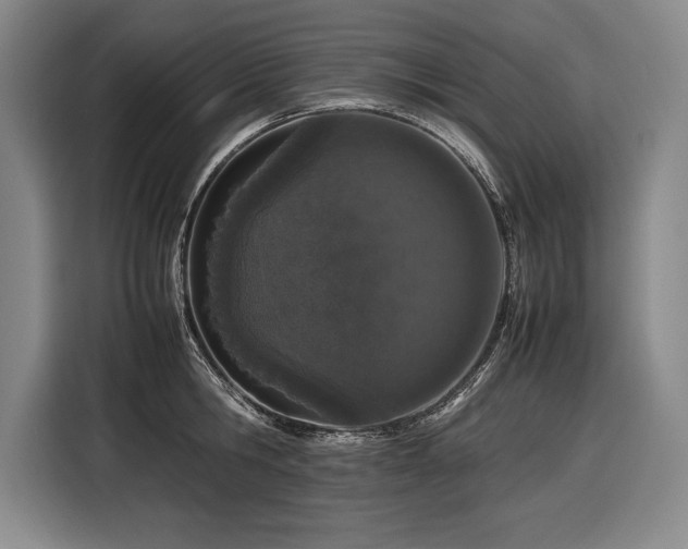 X0000116880806200912221424