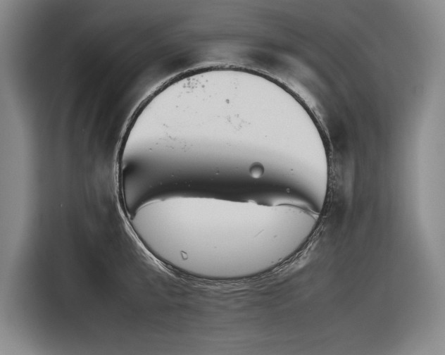 X0000116880807200912221424