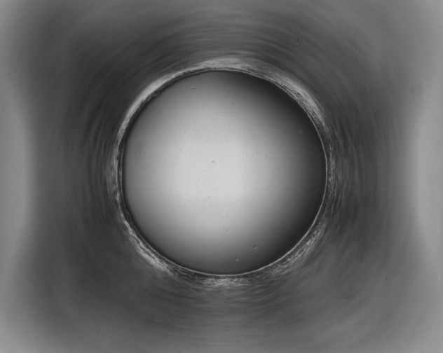 X0000116880808200912221424
