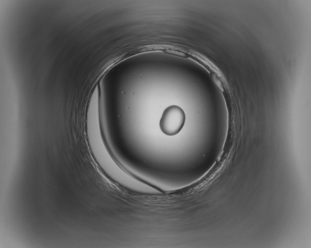 X0000116880809200912221424
