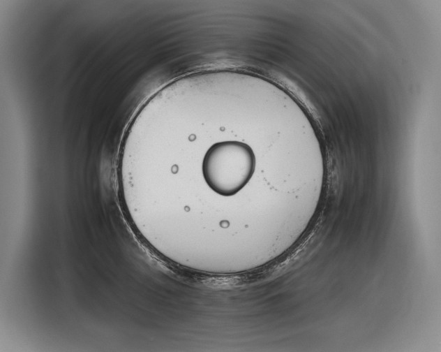 X0000116880810200912221424
