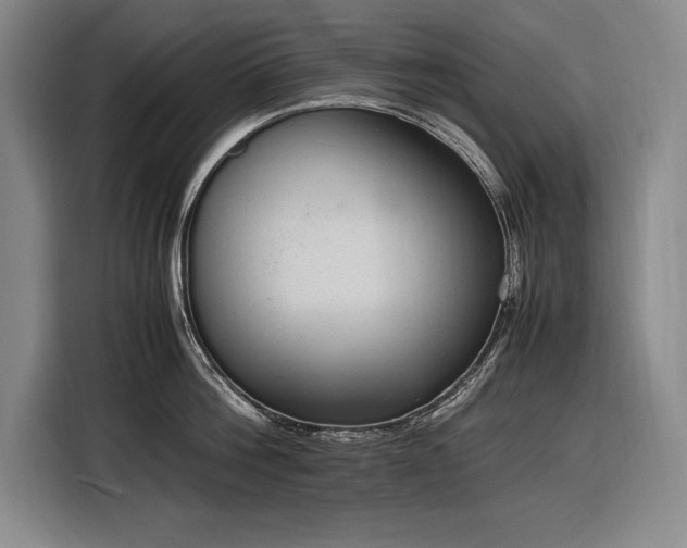 X0000116880812200912221424