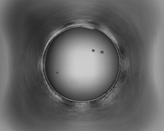 X0000116880813200912221424