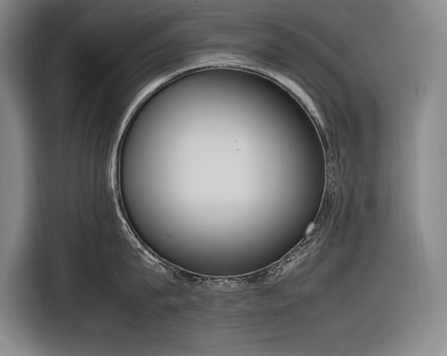 X0000116880815200912221424