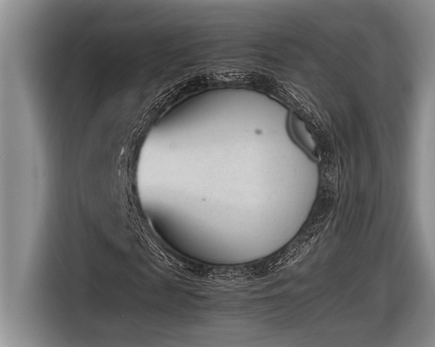 X0000116880817200912221423