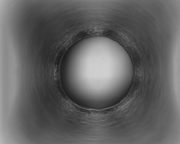 X0000116880818200912221423