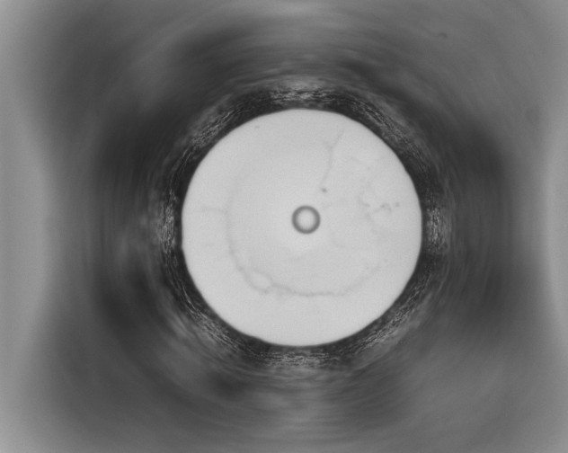 X0000116880820200912221423