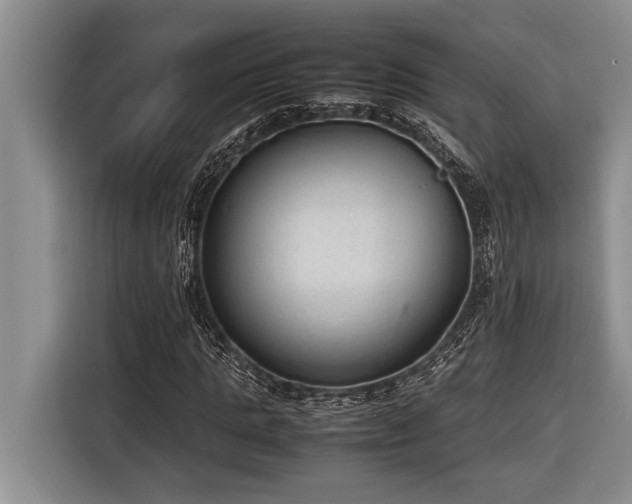 X0000116880821200912221424