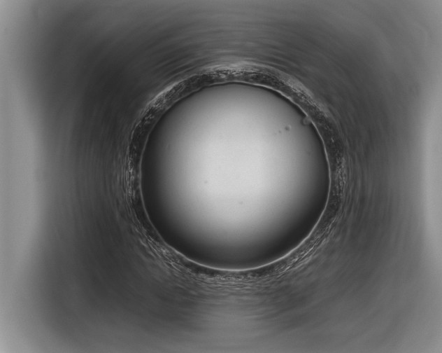 X0000116880822200912221424