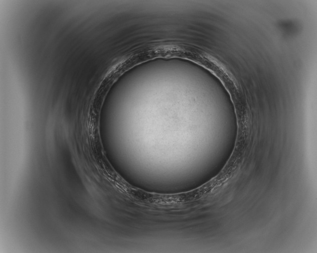 X0000116880823200912221424