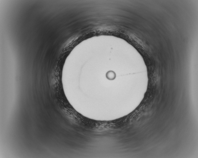 X0000116880824200912221424
