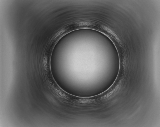 X0000116880825200912221424