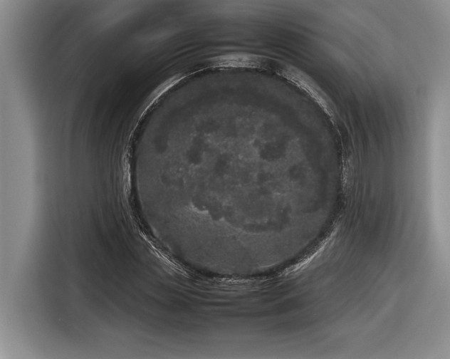 X0000116880829200912221424