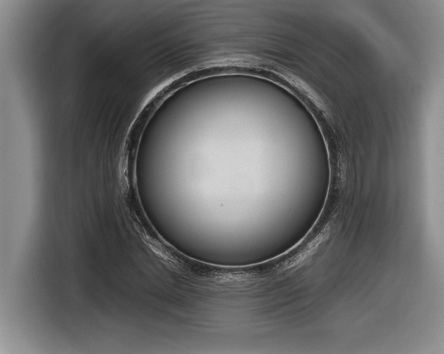X0000116880830200912221424