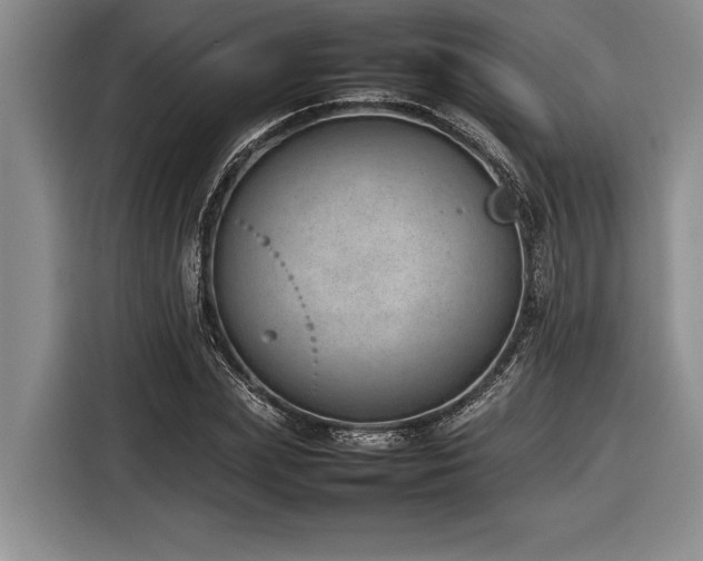 X0000116880831200912221424