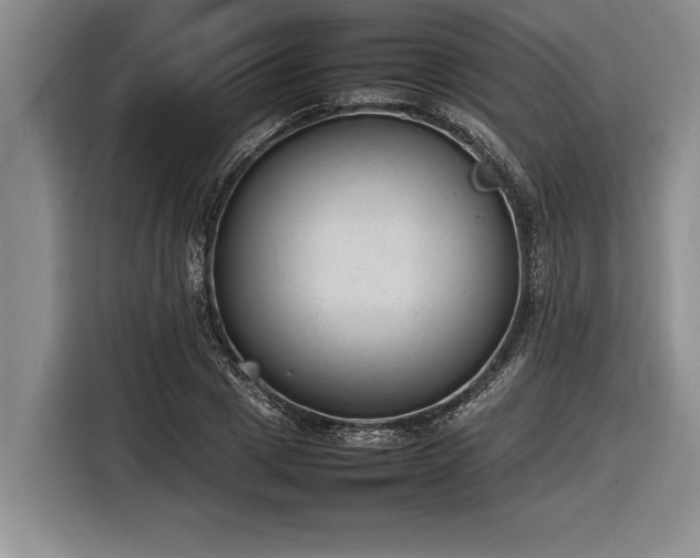 X0000116880833200912221424