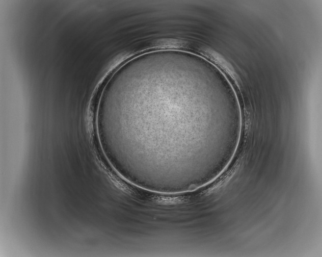 X0000116880835200912221424