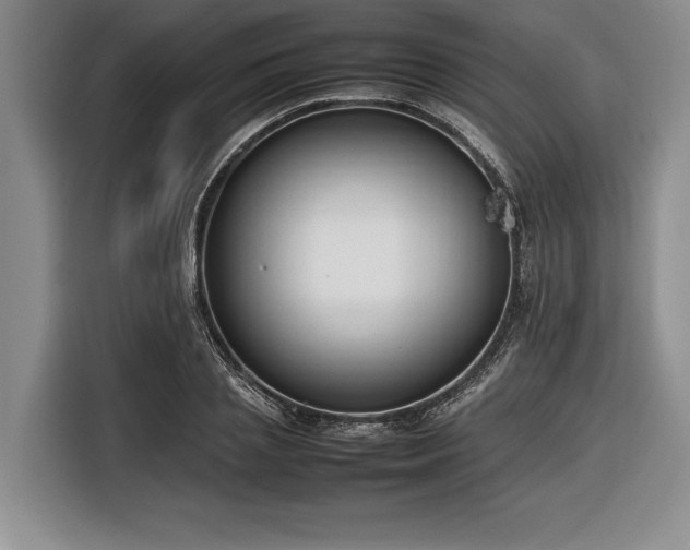 X0000116880837200912221424