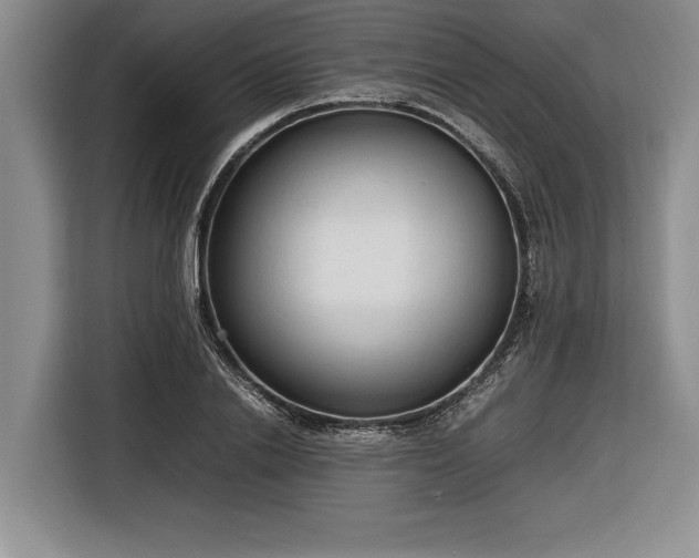 X0000116880838200912221424