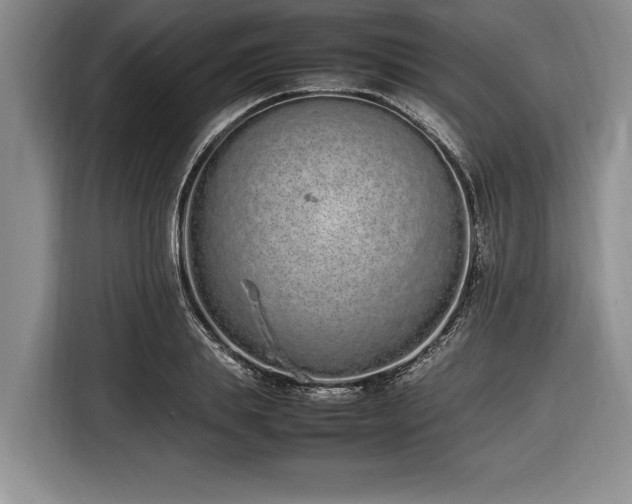 X0000116880839200912221424