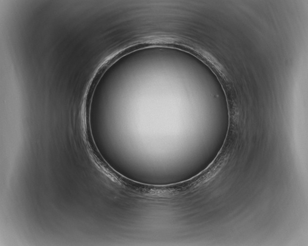X0000116880840200912221424