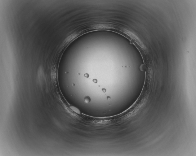 X0000116880841200912221424