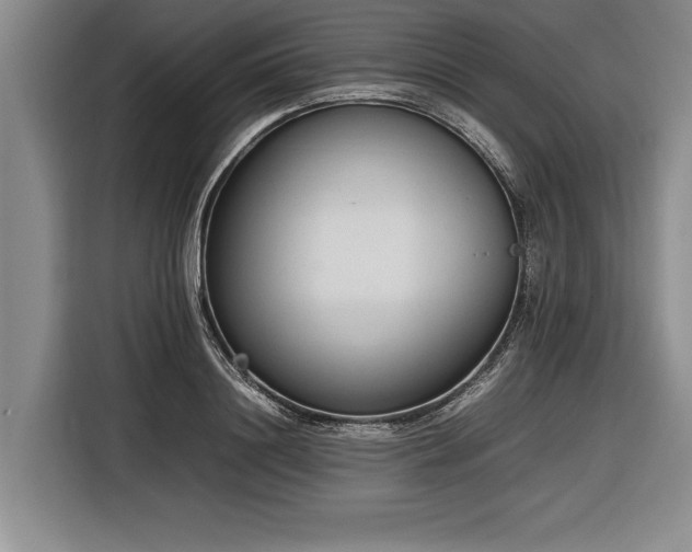 X0000116880844200912221424