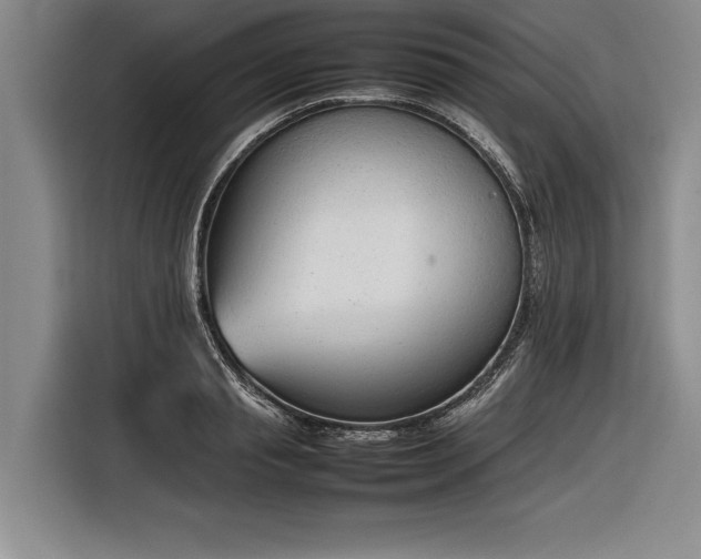 X0000116880845200912221424