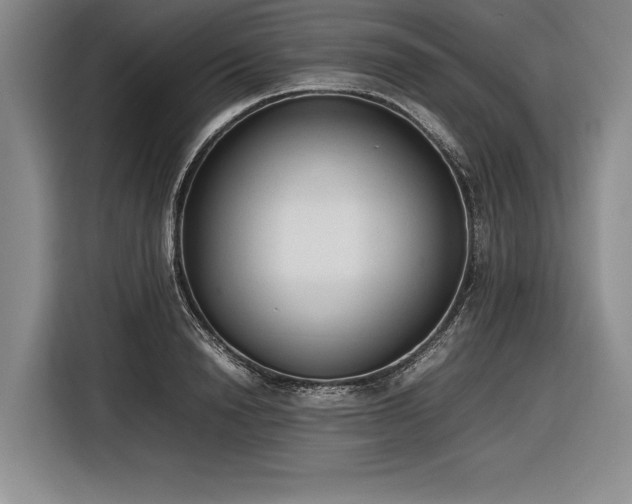 X0000116880846200912221424