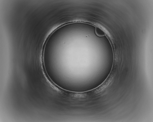 X0000116880847200912221424